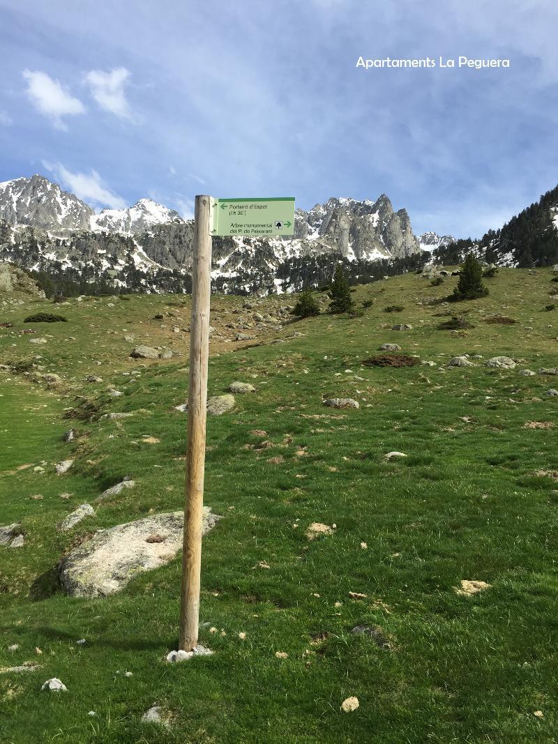 Apartaments La Peguera Bohí Buitenkant foto
